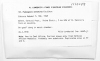 Image Associated With the Occurrence